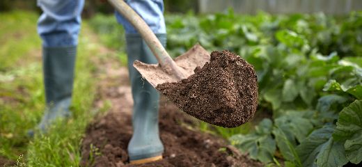 Global Potting Soil Market 2018 hc